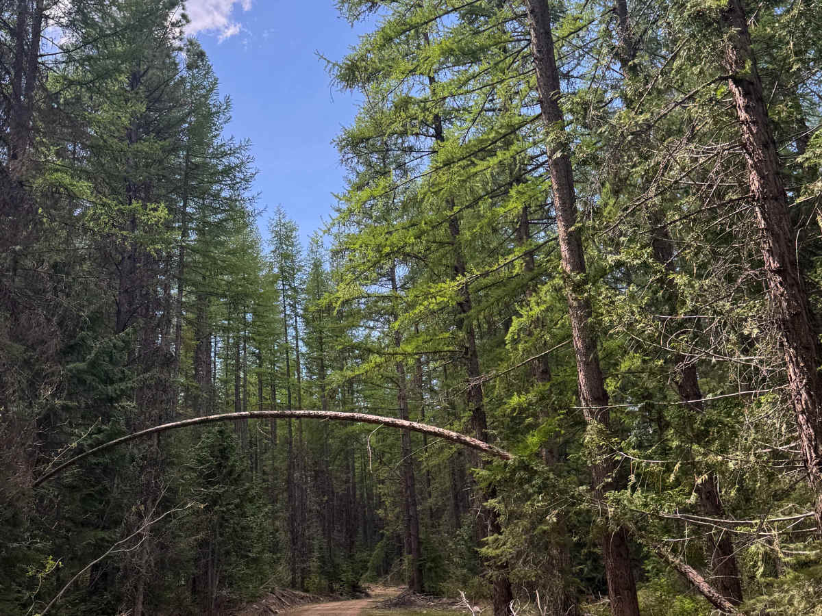 Barnaby Buttes  Trail photo 3