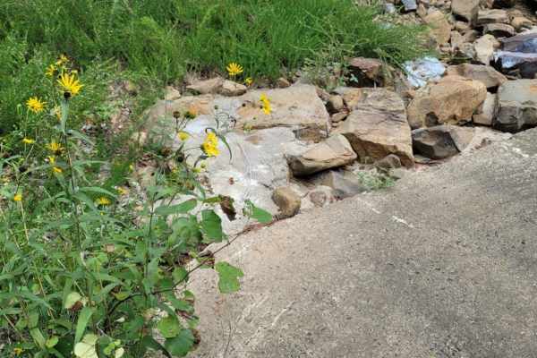 Rock Creek