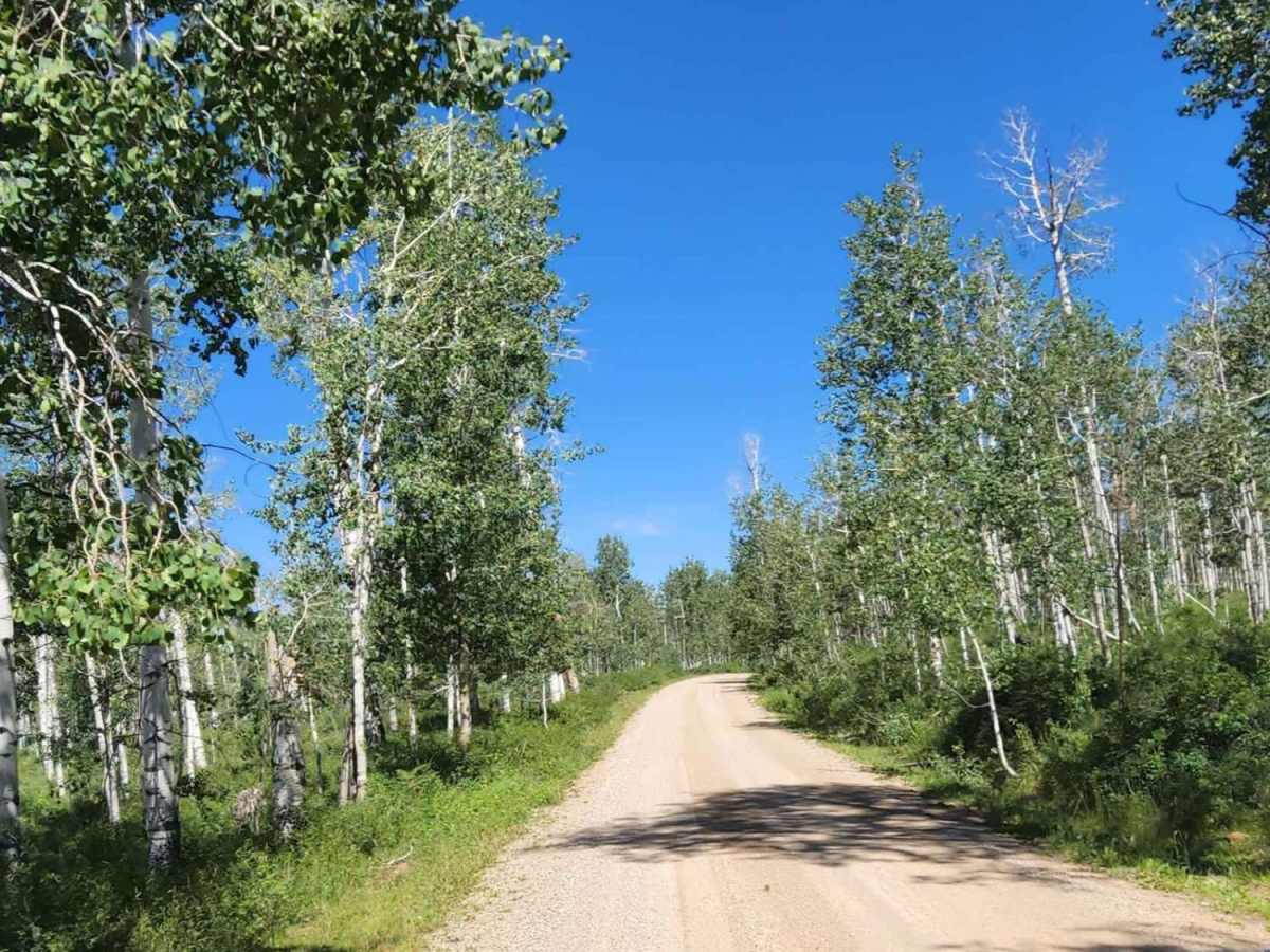 Spring Creek Road photo 4