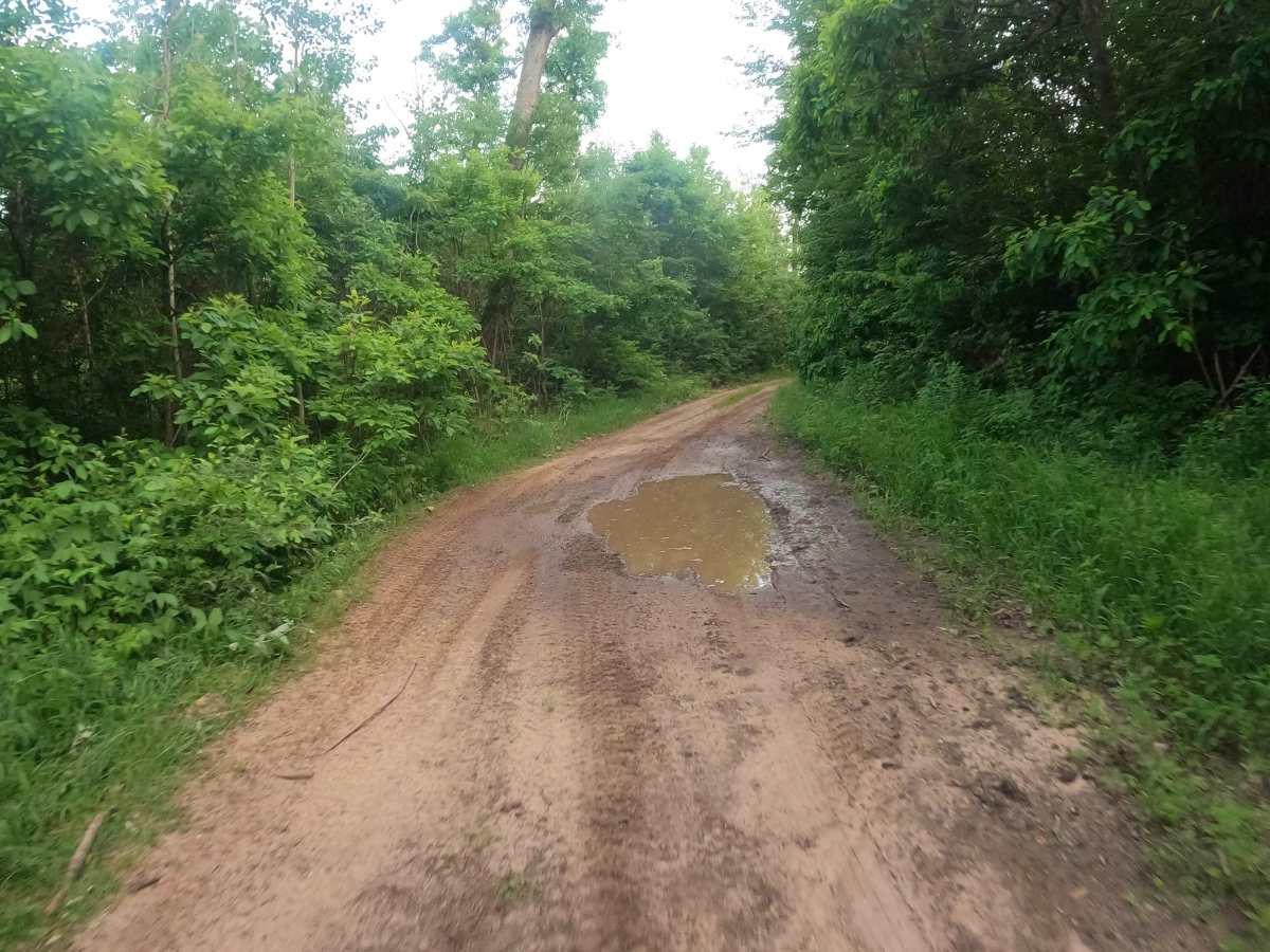 East Evart  photo 6