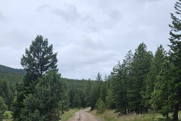 Scuitto Lake Road
