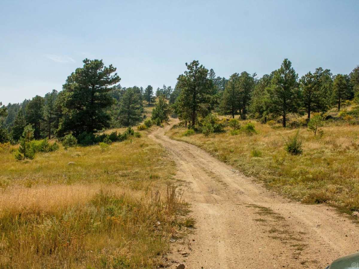 Peewink trail photo