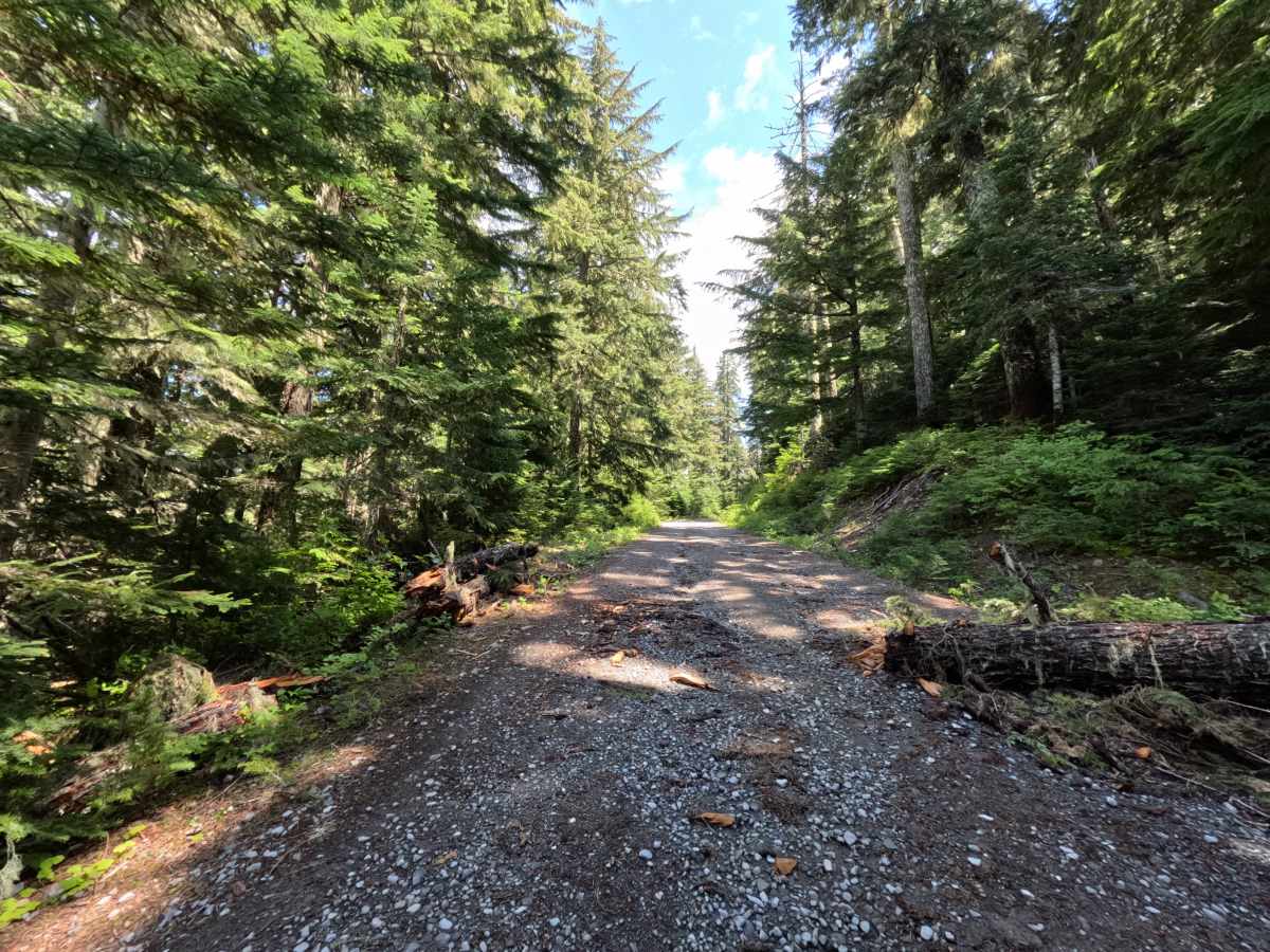 Barlow Butte Road - FS 3560 photo 5