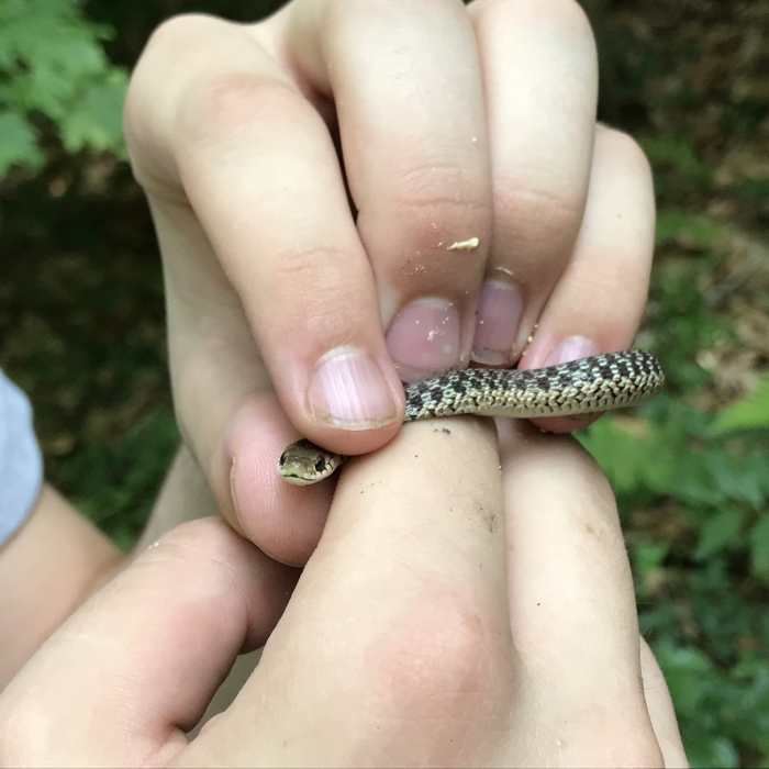 Friendly wildlife on trail Near Cat Mountain Out-and-Back