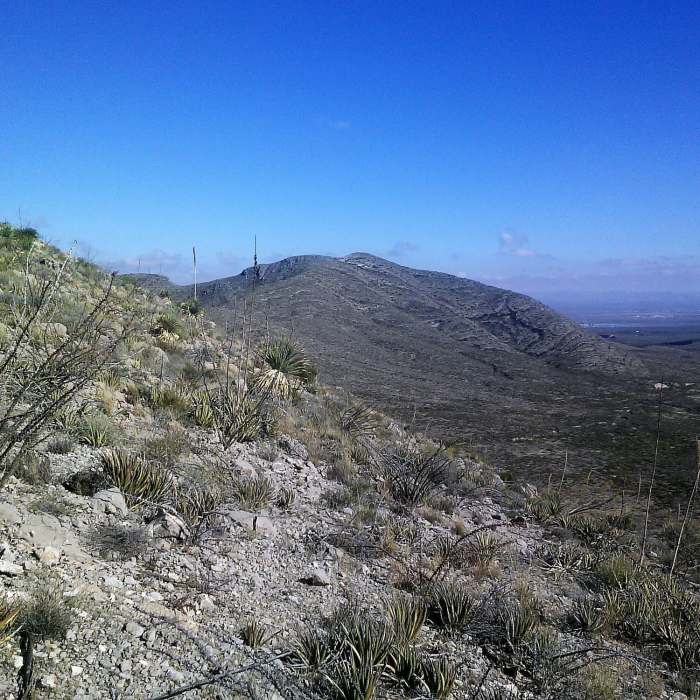 View of Hitt Canyon and Sacramento Mountains in background. Near Anthony Gap Cave Trail
