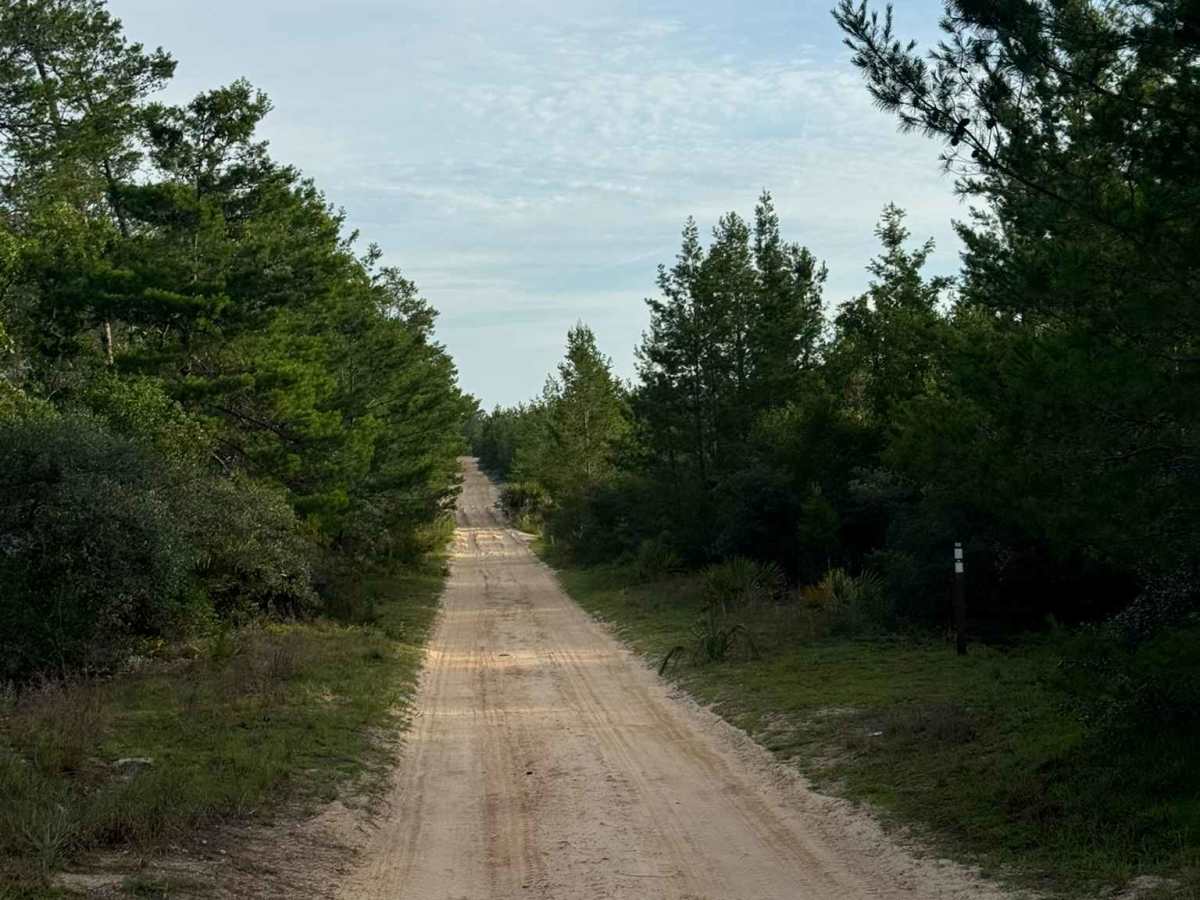 Longview Trail photo 2