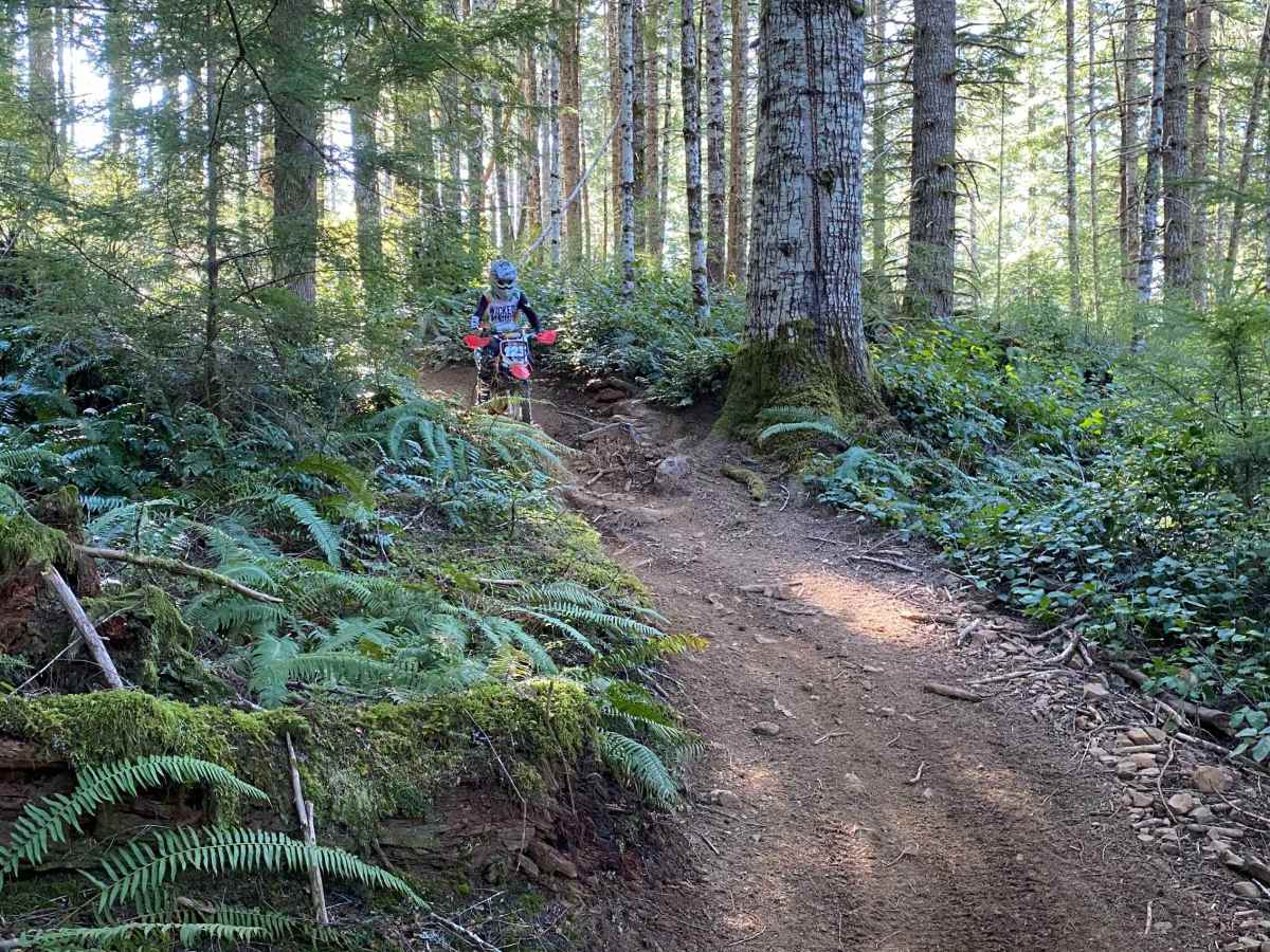 Trail 21 The Chute photo 3