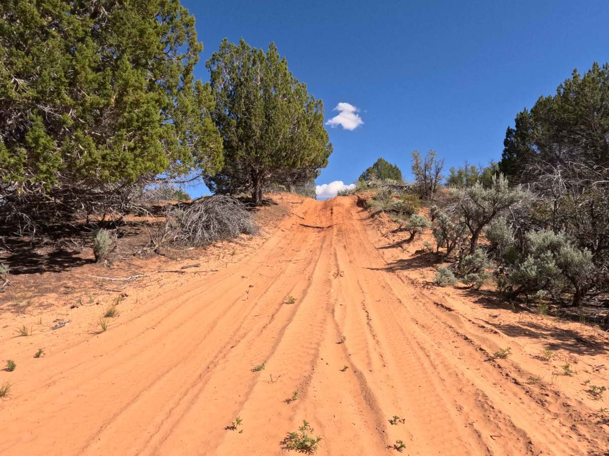 BLM 43 photo 4