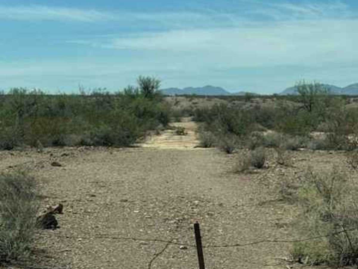 BLM SS1031 trail photo