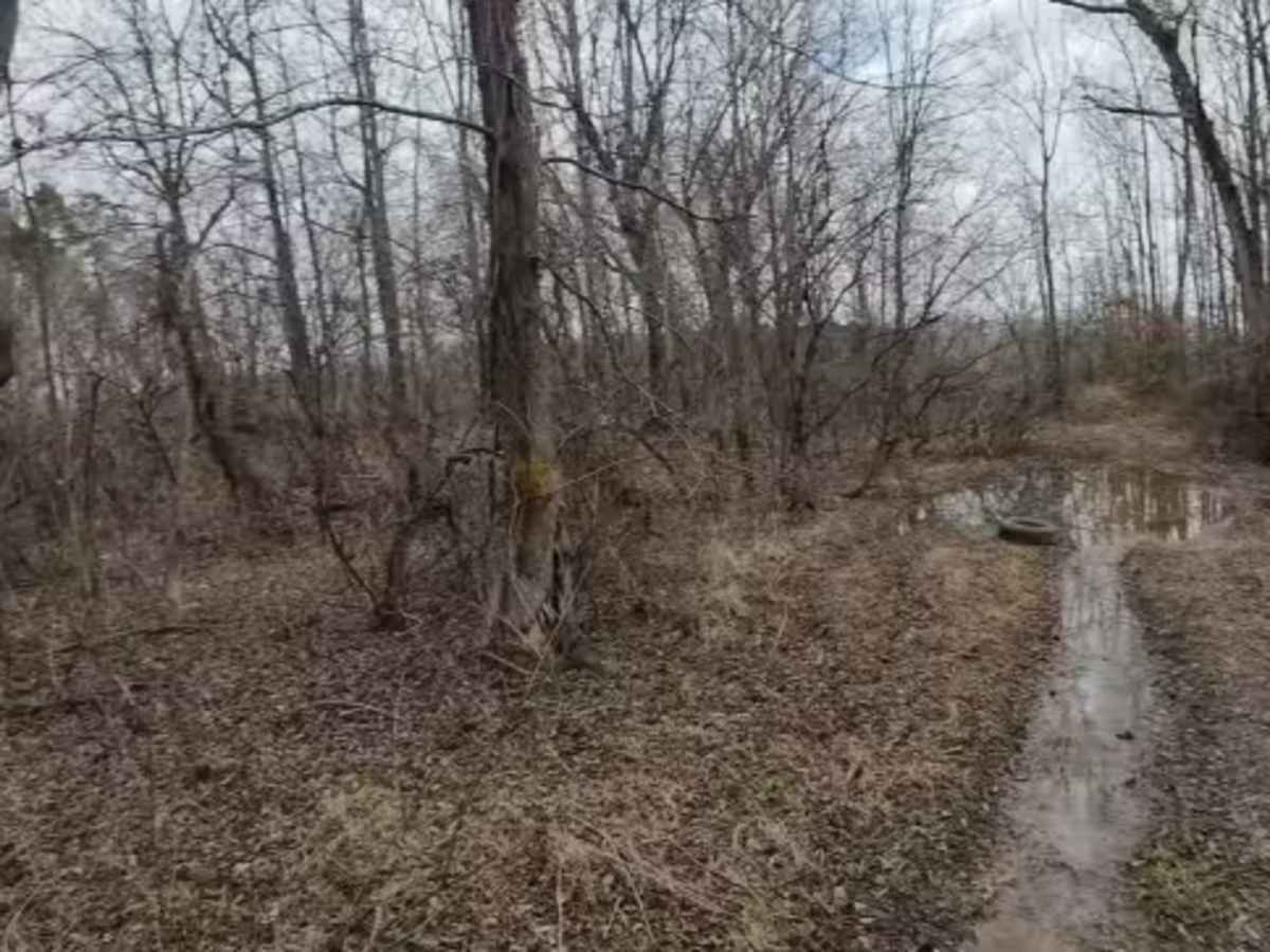Wolf Creek Trail photo 5