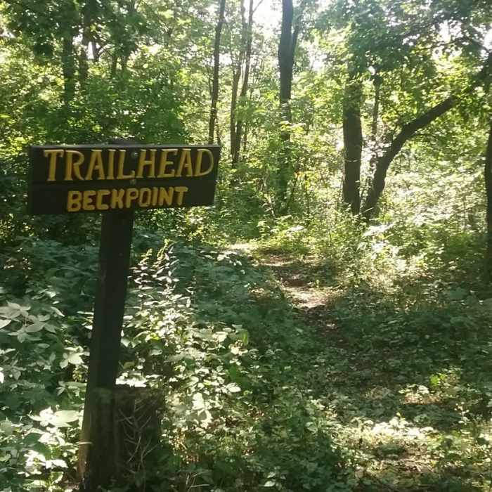 Near Big Burn Trail
