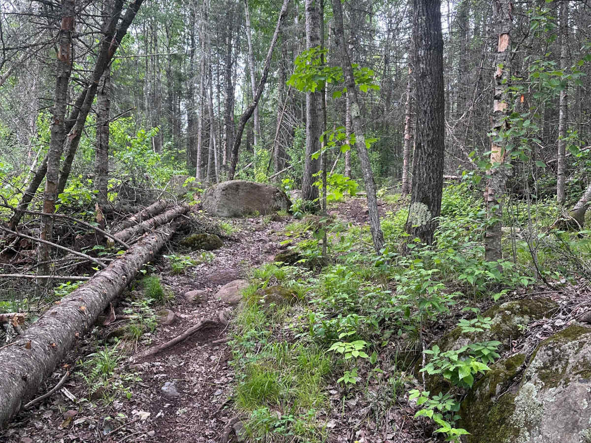 Alger Grade - Trail 3 photo 6