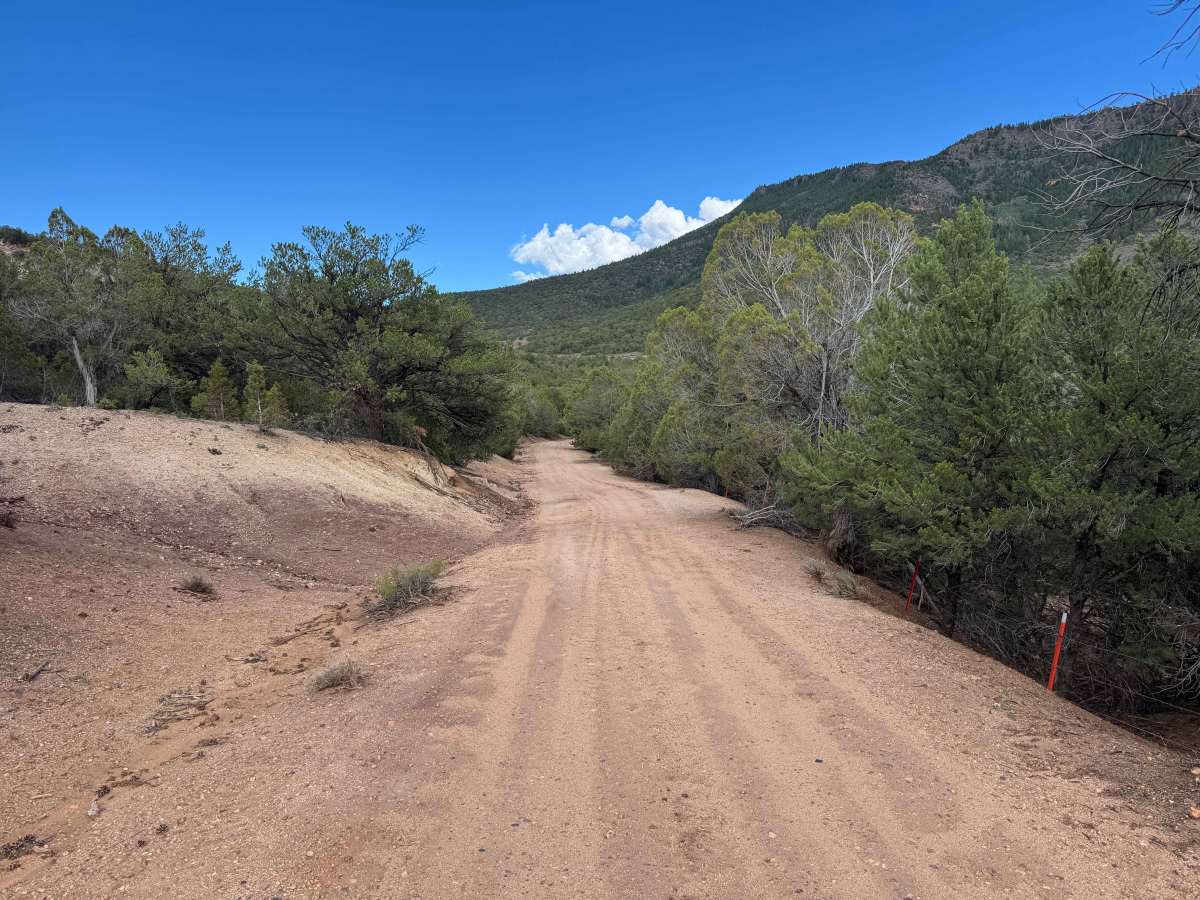 BLM 2723 photo 4