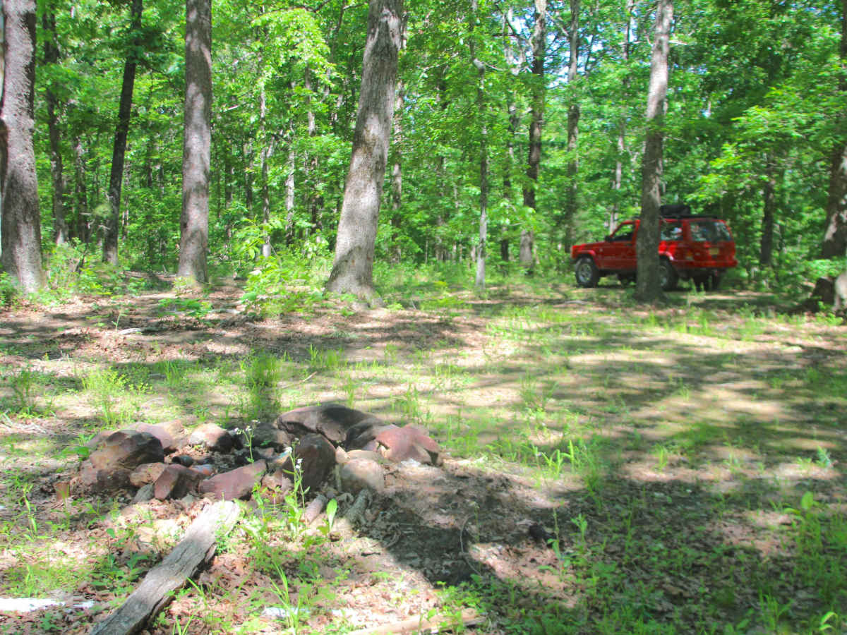 Bluegrass - FS 3528 trail photo