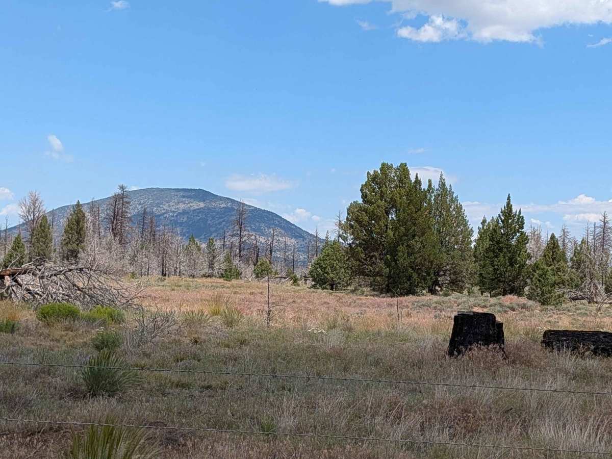 Porterfield Ranch photo 5