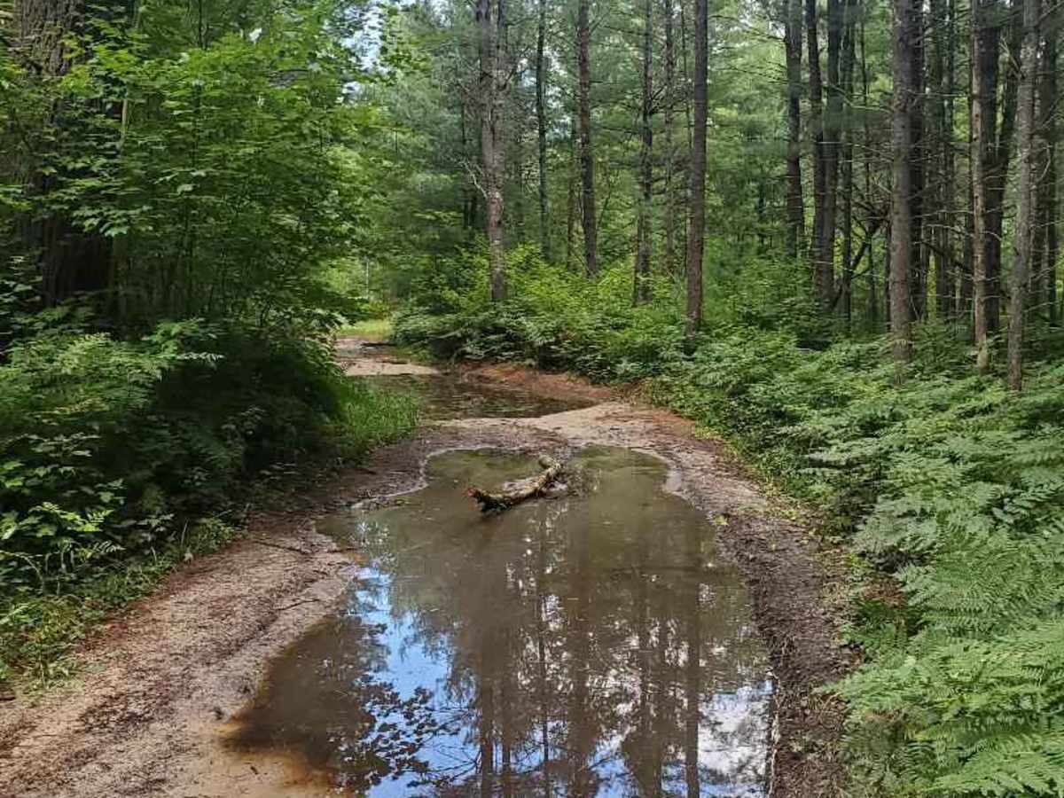 North Section 20 Road photo 5