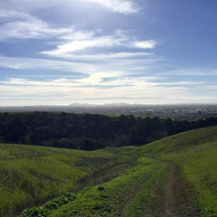 Near High Ridge Loop Trail