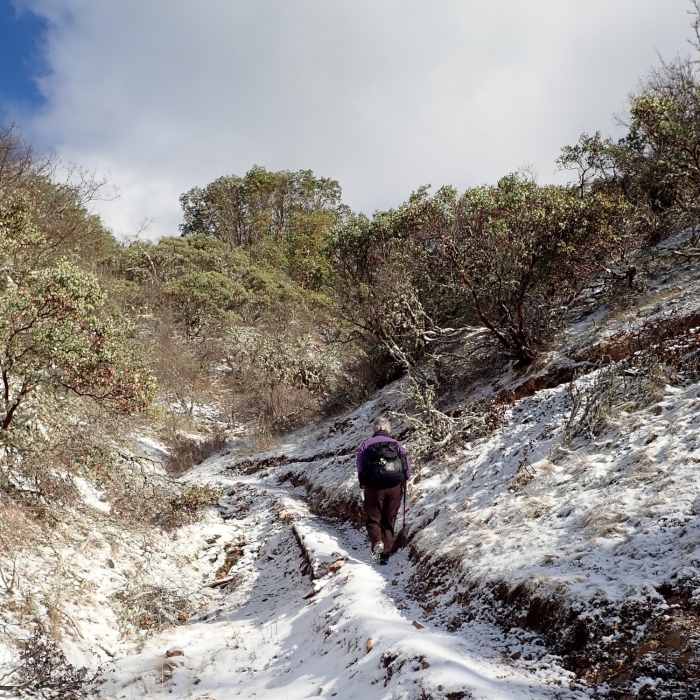 Near Knobcone Pine Trail