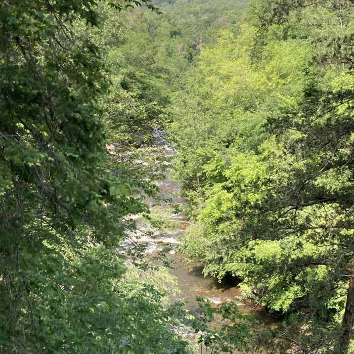 Near Pioneer Trail Near Pioneer Trail