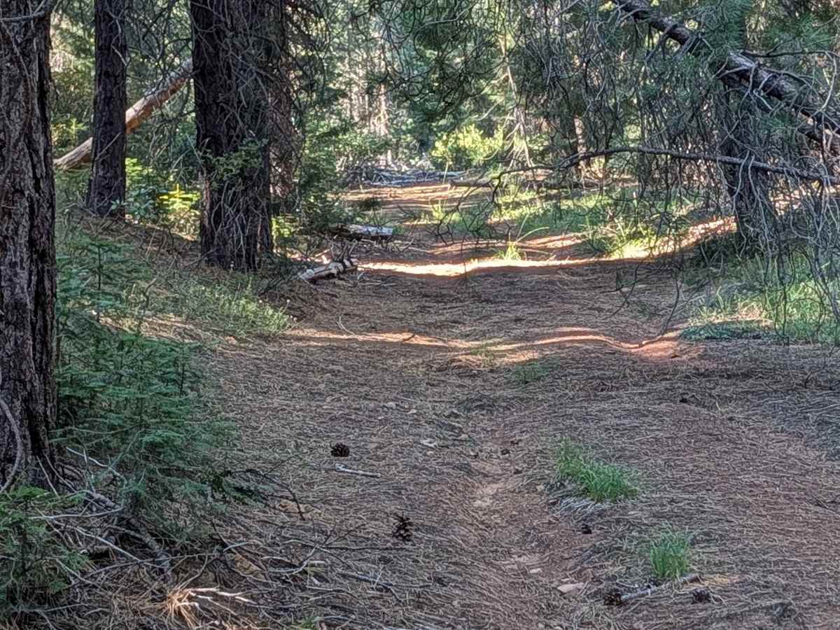 Scoria - FS 42N60 trail photo