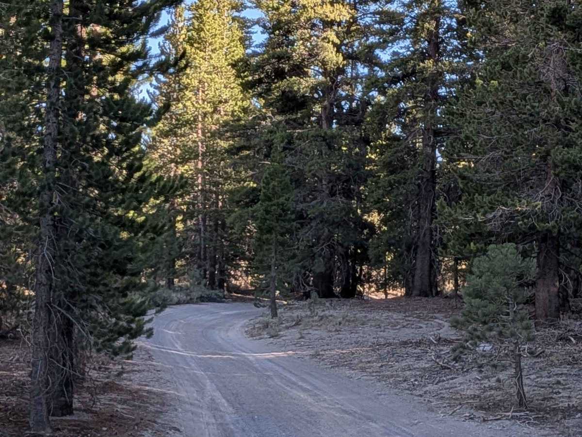 FS 2S05F Obsidian Flat Group Campground photo 2