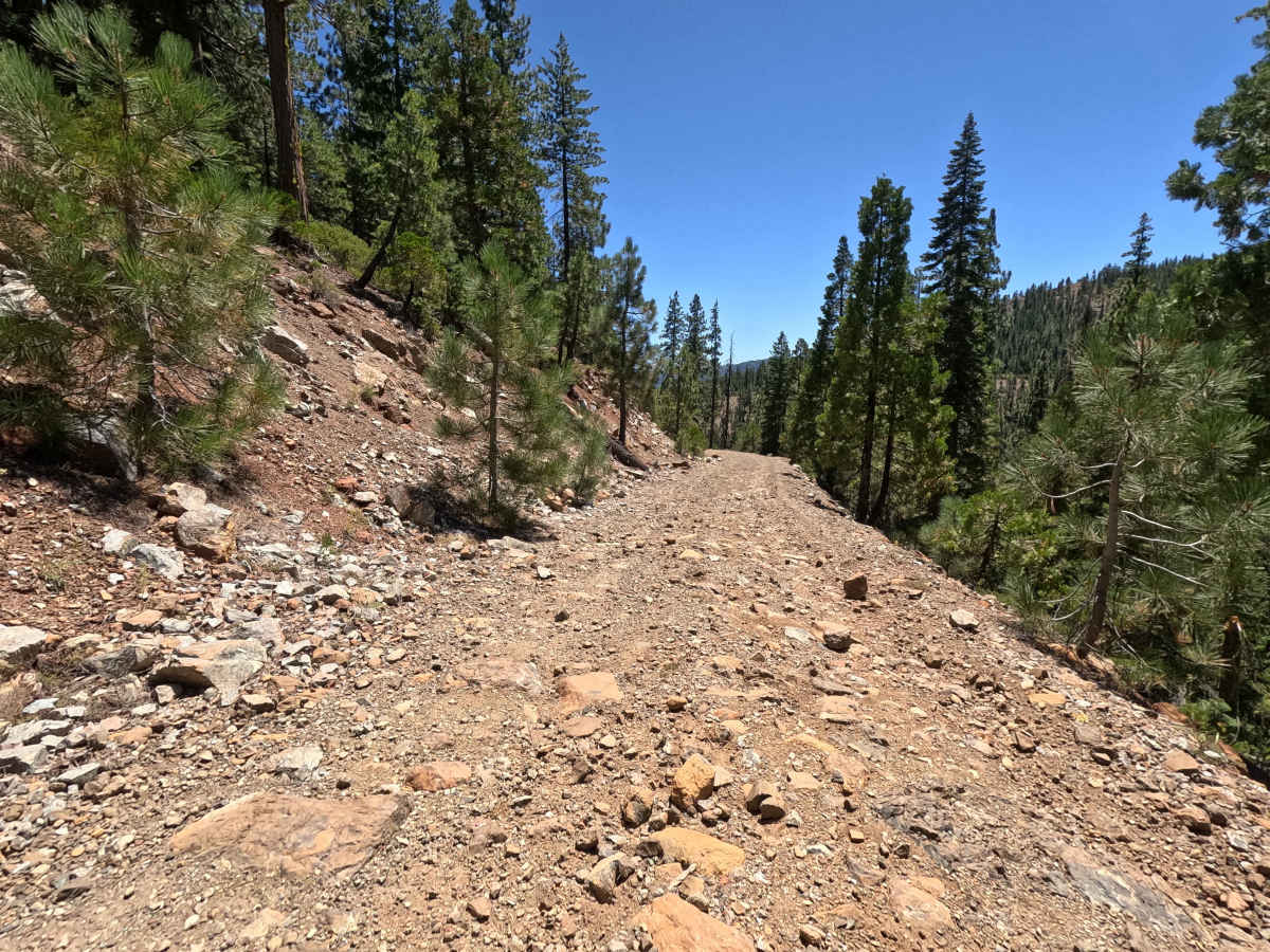 Deer Creek - FS 40N27 trail photo