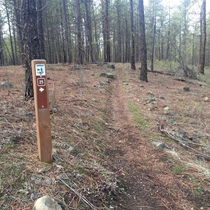 Near Riverside Trail 25 Loop