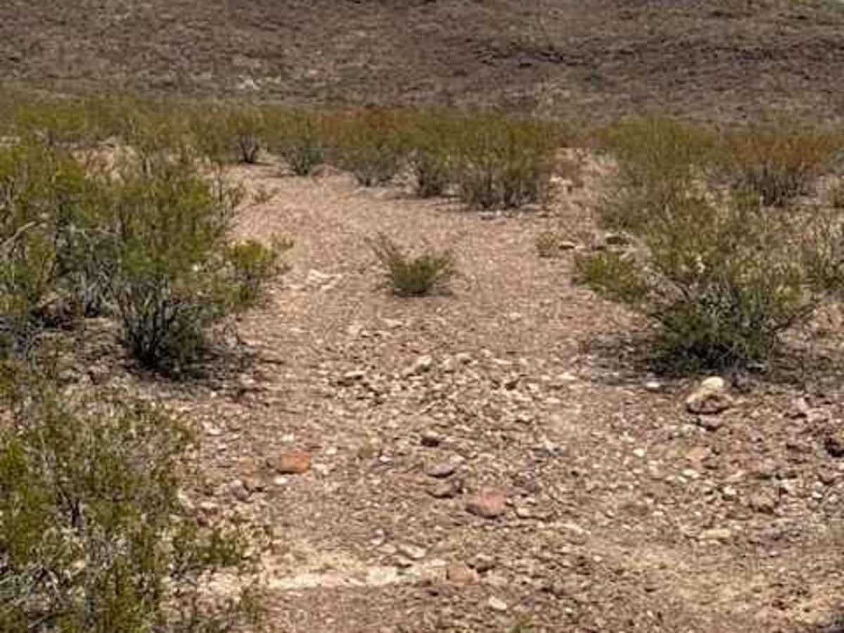 BLM PE1141 photo 3