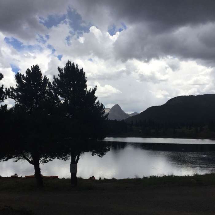 Near Molas Pass Trail #665