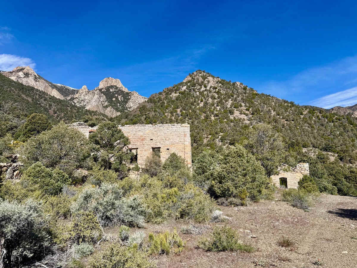  Boyd Canyon - FS 44431 trail photo
