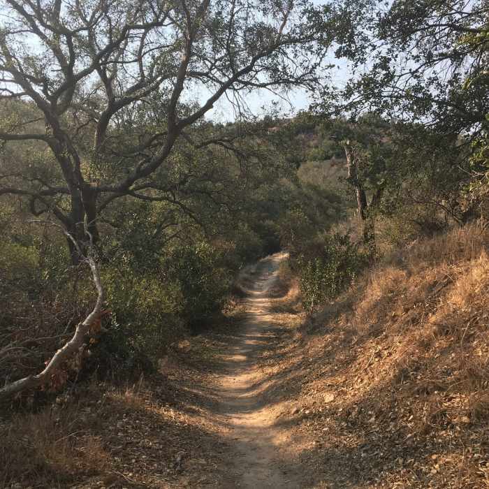 Near Hoffman Homestead Trail