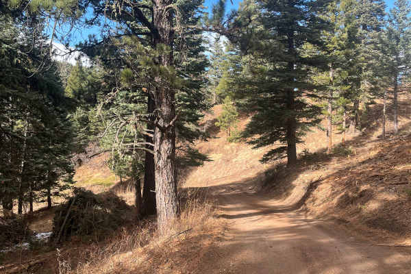 San Carlos Road