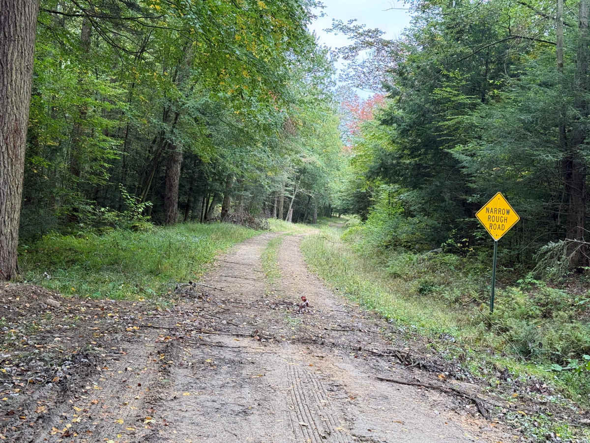 North Branch - FS 293 photo 2