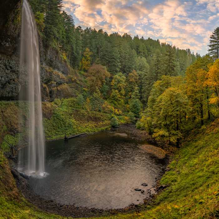 Near Maple Ridge Trail