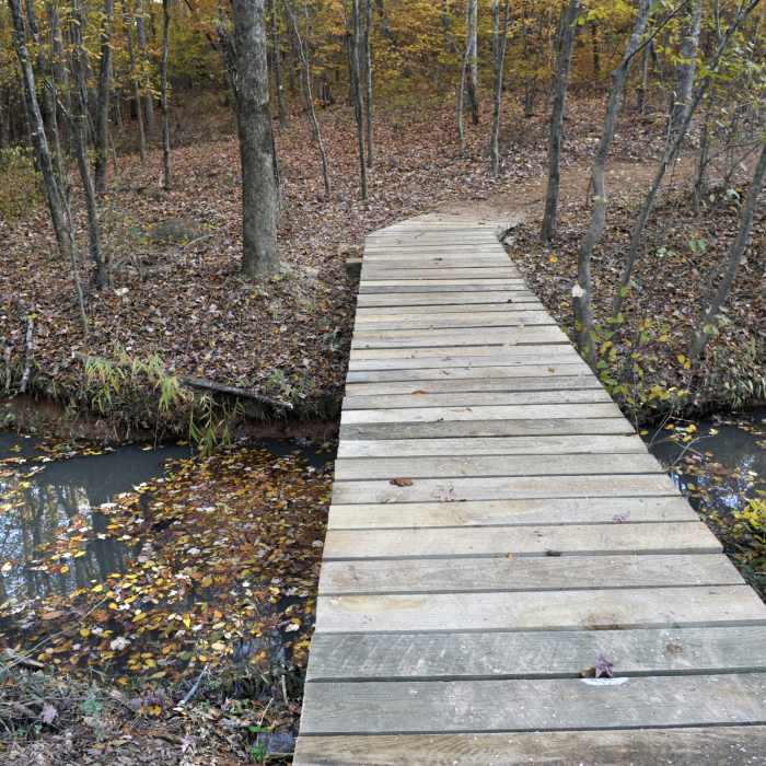 Near Twelve Mile Creek Trail: Walnut Creek Park Segment
