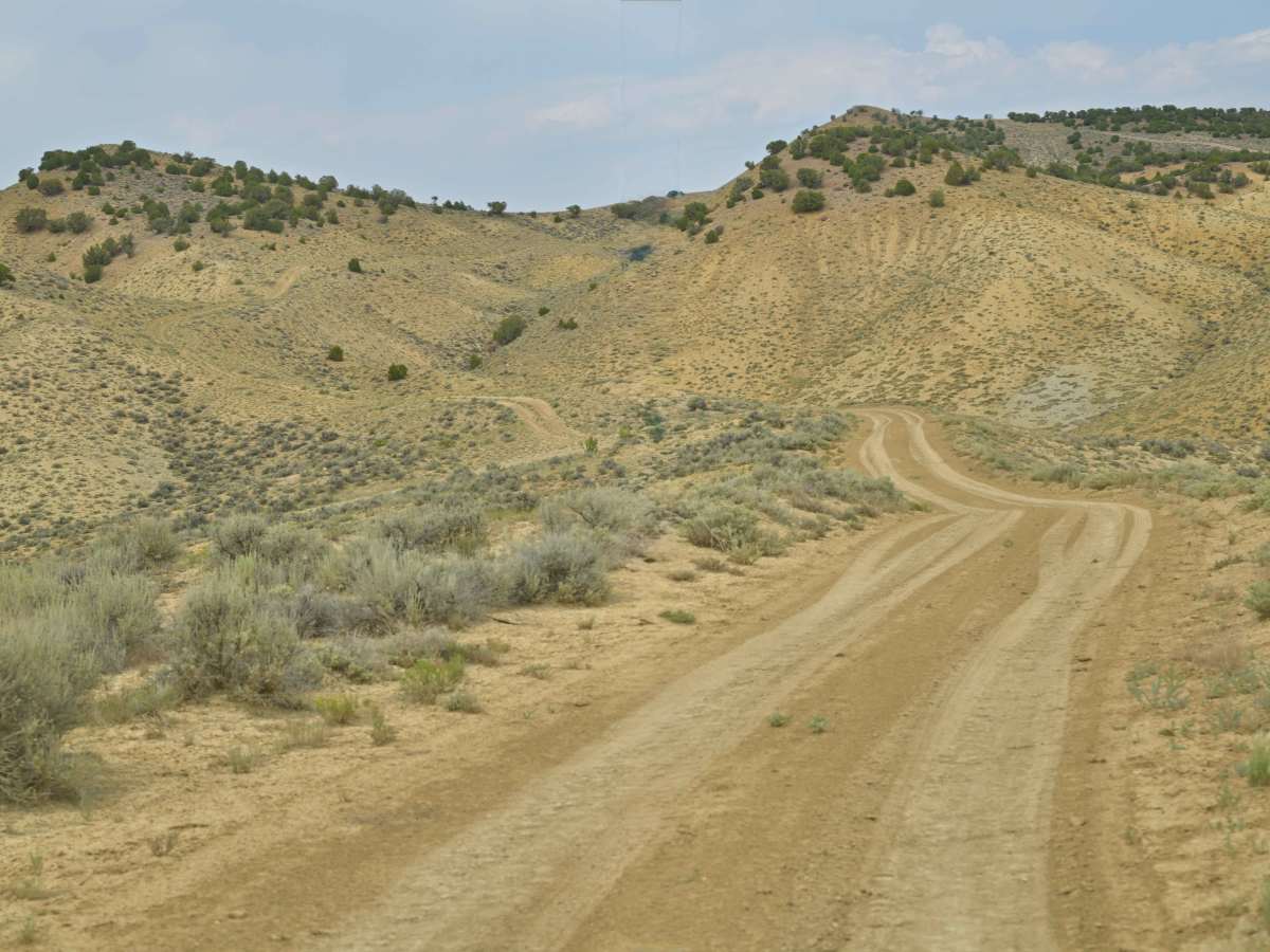 Little Valley Road photo 5
