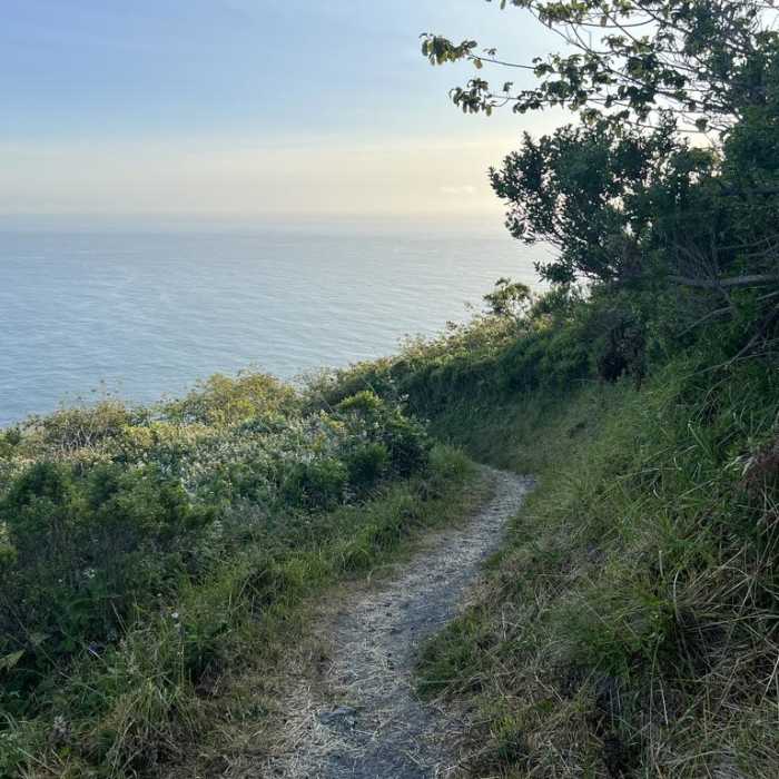 Near Klamath River Overlook