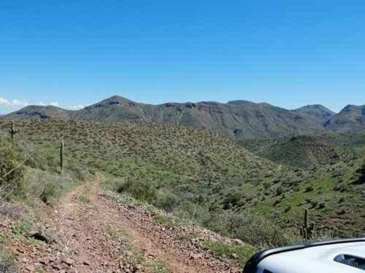 Two Bar Ridge photo 4