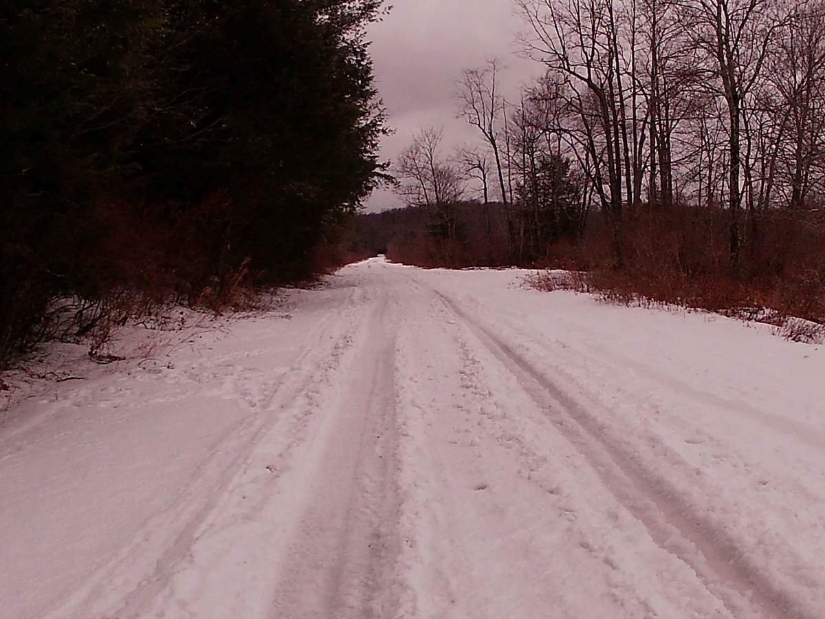 Mountain Spring Road photo 6