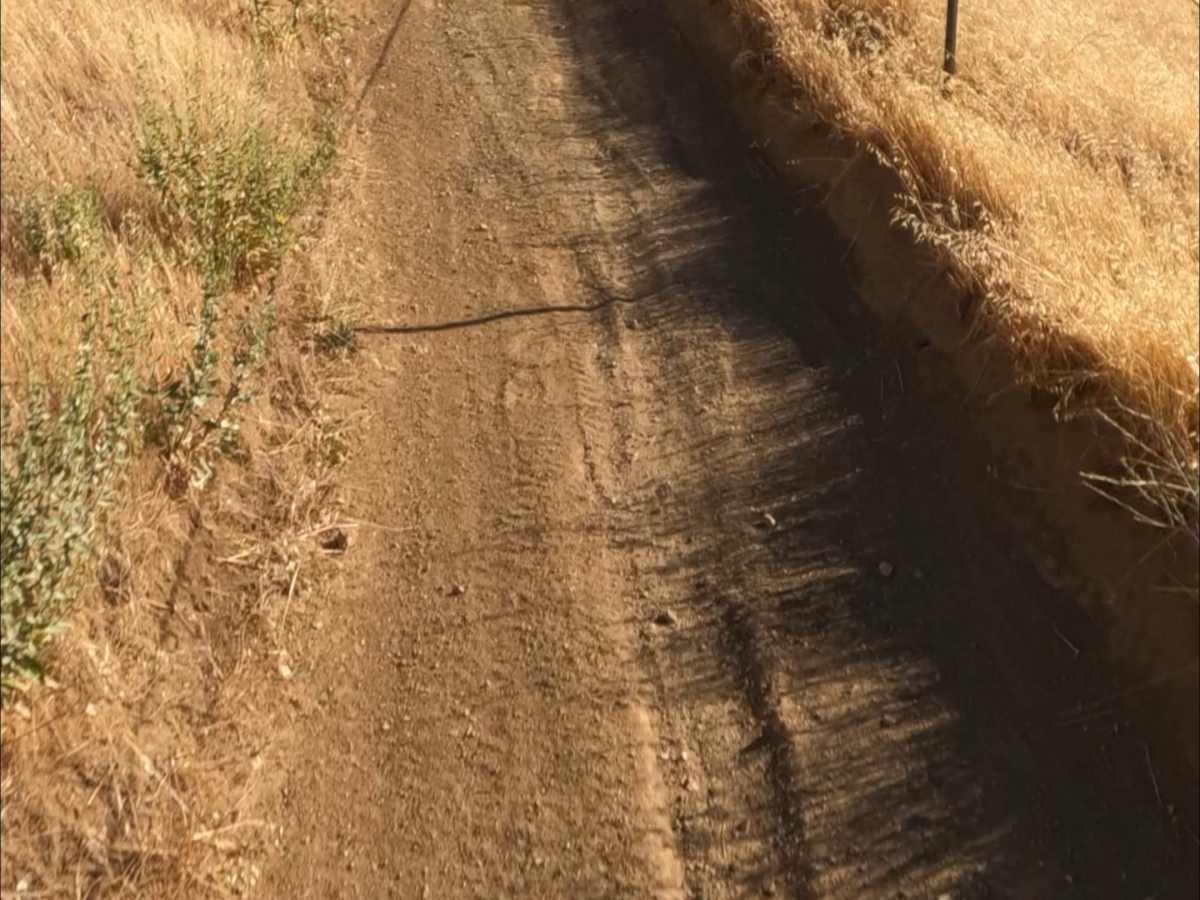 Sri Loop photo 4