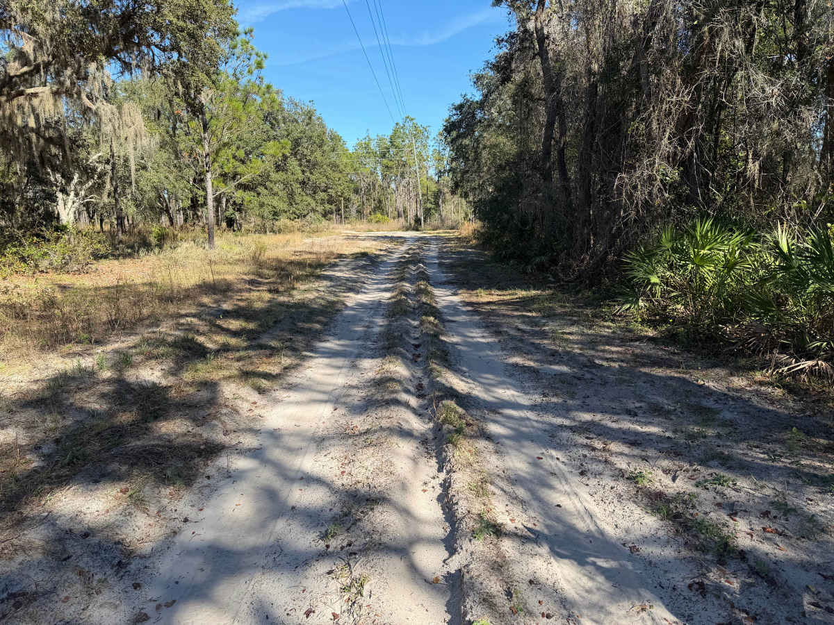 Ranch Road photo 2