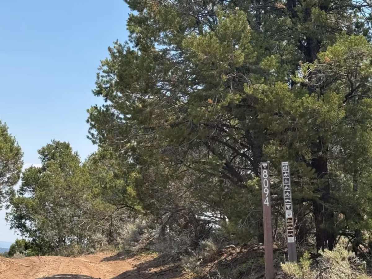 Cedar Mountain East photo 2
