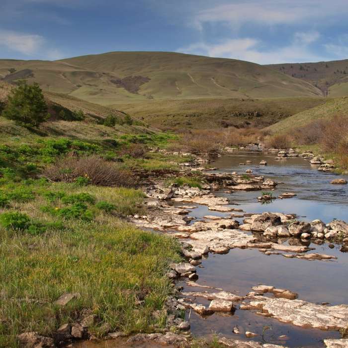 Near Klickitat Trail: Swale Canyon Segment
