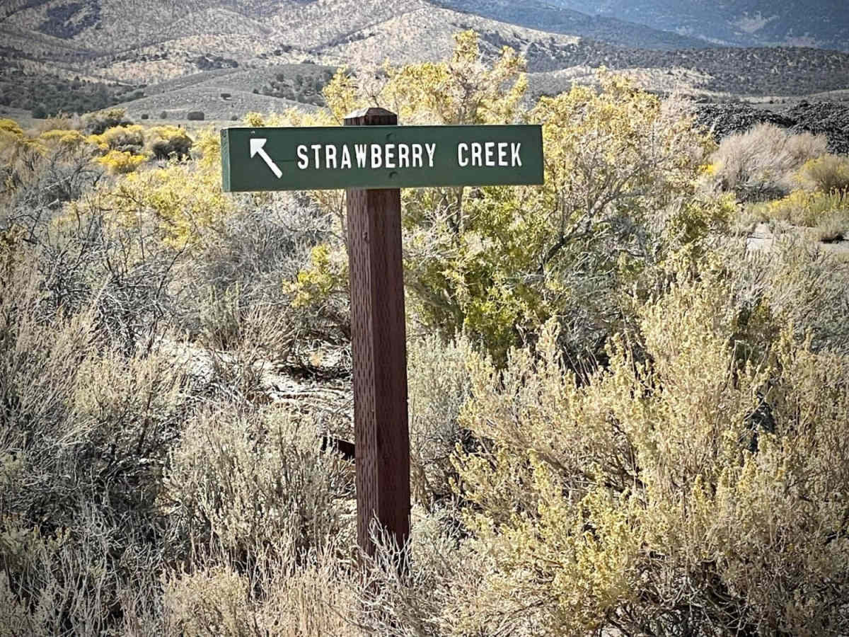 Strawberry Creek Road photo 6