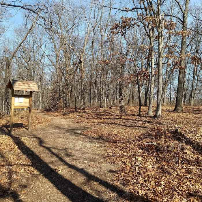 Looking back at the Turtlebob trail with my back to Lone Elk Park Rd Near White Bison Trail
