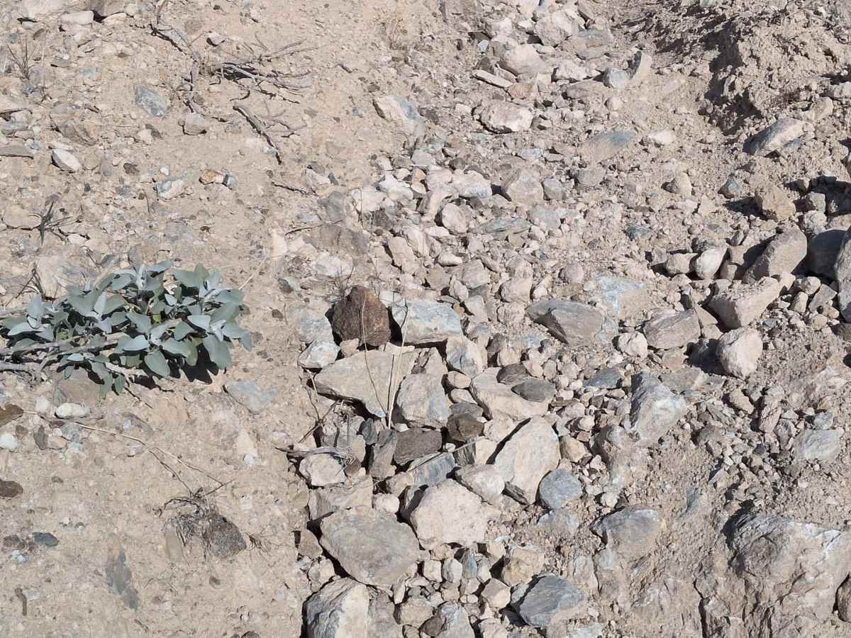 The Painted Rock Gorge - BLM 130 photo 3