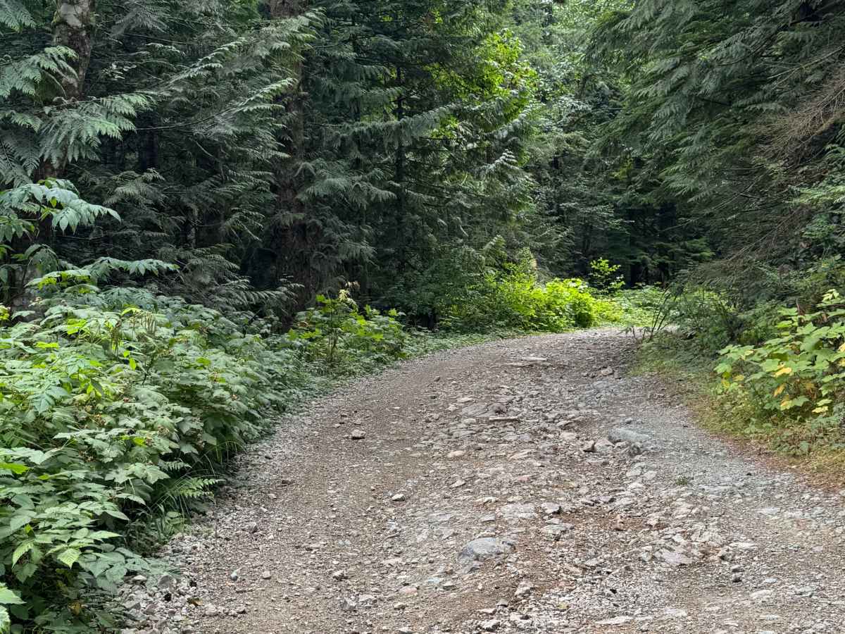 Francis Lake photo 4