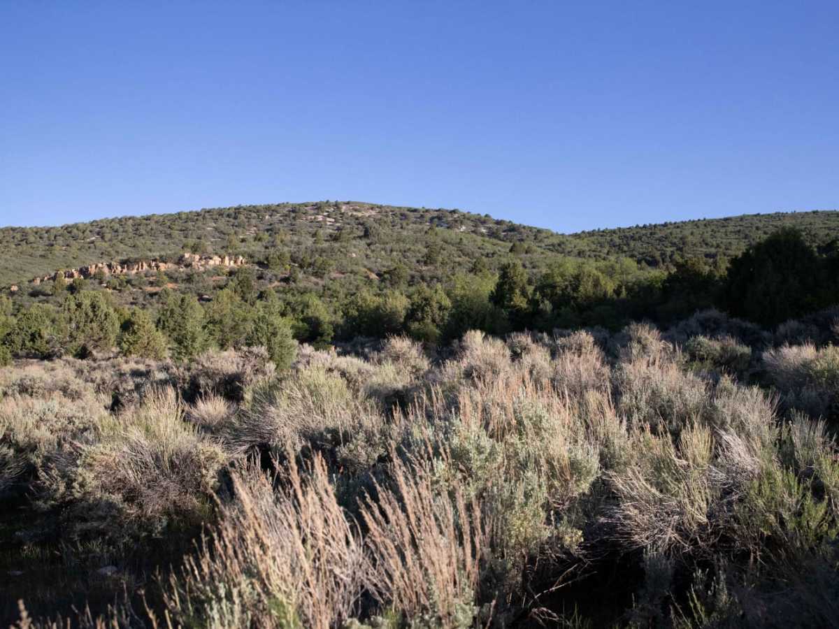 Post Road via Toll Road trail photo
