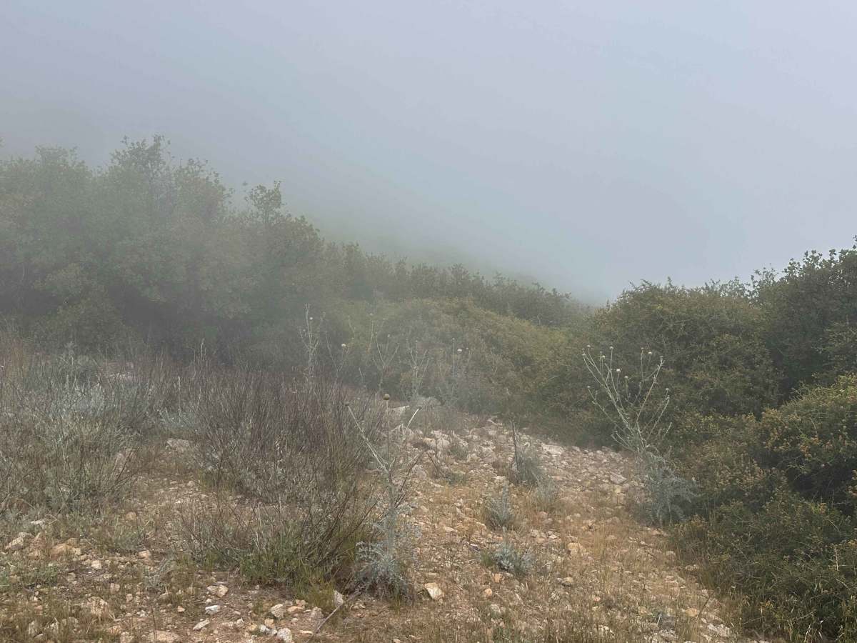 Copper Canyon Trail photo 3
