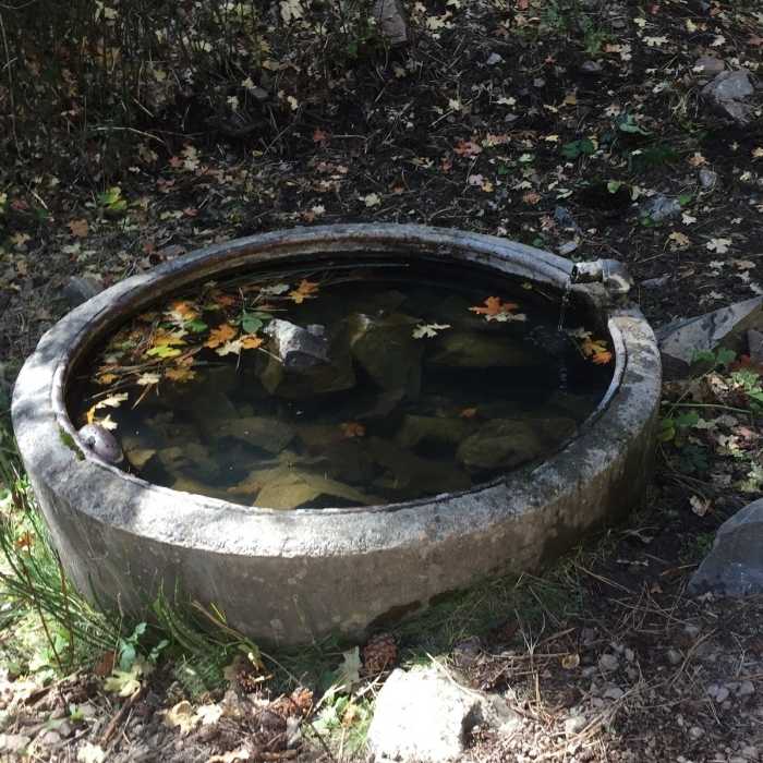 Near Fourth of July Loop